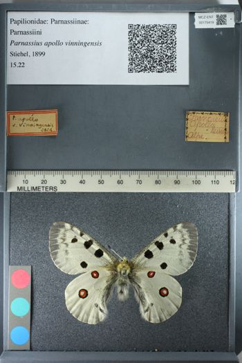 Media type: image;   Entomology 175419